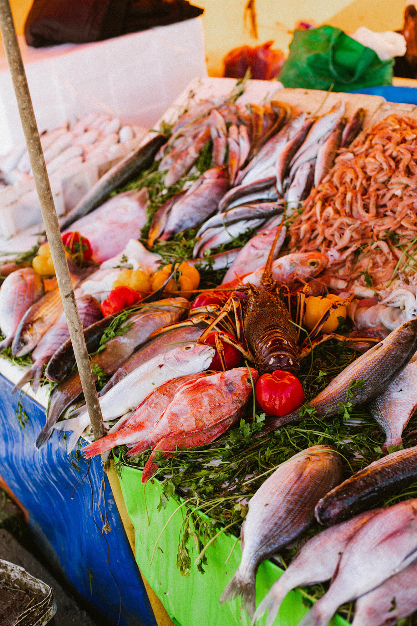 mercado de pescado de chile